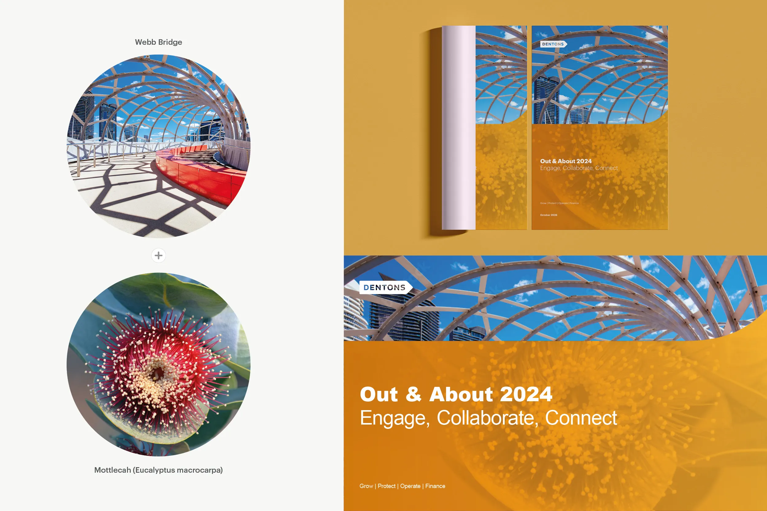 Webb Bridge paired with the Mottlecah flower, applied to an Out & About 2024 cover and banner in an orange-to-gold gradient